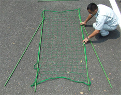菇12